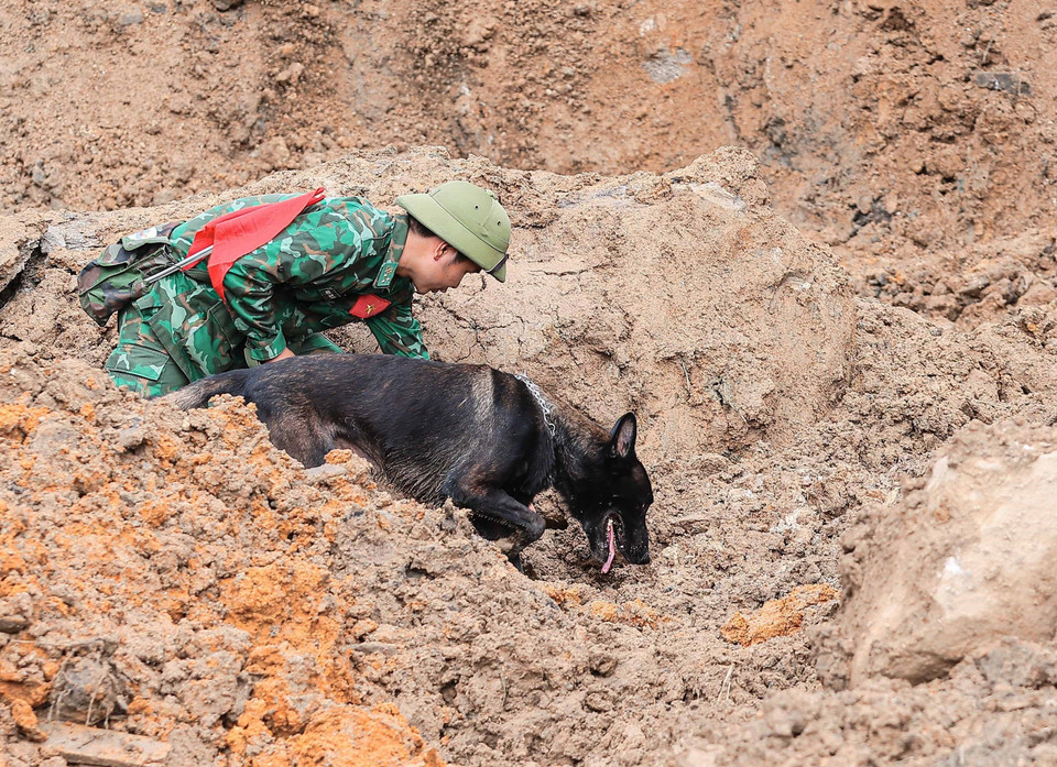 The army deploys search dogs to locate victims buried in Lang Nu village, Phuc Khanh commune, Bao Yen district, Lao Cai province. (Photo: Hoang Hieu - VNA).