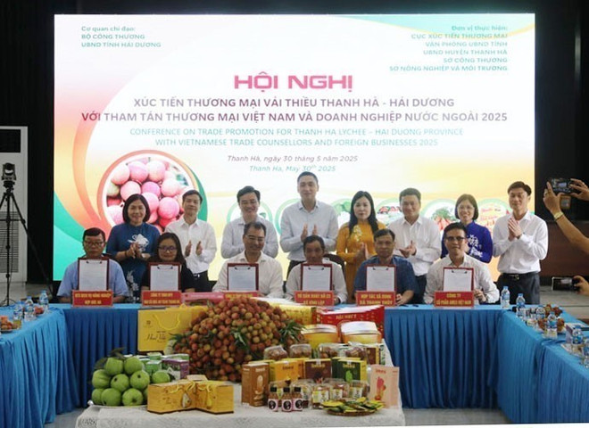 The enterprises sign a cooperation agreements with lychee production cooperatives in Thanh Ha at the conference on May 30. (Photo: VNA) vna-potal-hai-duong-mo-vuon-thu-hoach-xuc-tien-thuong-mai-vai-thieu-thanh-ha-nam-2025-8064240.jpg