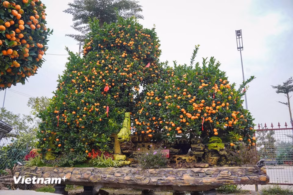 Another large composition titled “Song tu bai mau” (two children bowing to their mother) standing about 3.5 metres tall and symbolising family reunion and filial respect, is priced at nearly 120 million VND (nearly 4,700 USD). (Photo: VietnamPlus)