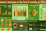 Vietnam's economy in the first 11 months of 2024