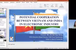 Do Thi Thuy Huong, a member of the Executive Board of the Vietnam Electronic Industries Association (VEIA), speaks at the seminar. (Photo: Screenshot)