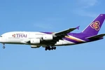 A Thai Airways plane. (Photo courtesy of the airline)