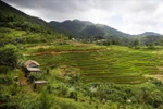 The stunning terraced fields in Mung hamlet of Cao Phong commune, Phu Tho province. (Photo: VNA)