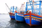 Proactive measures help Dong Thap stamp out IUU fishing violations. (Photo: VNA)