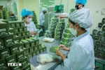 Production of herbal-based products at Lam Dong Pharmaceutical JSC. (Photo: VNA)