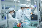 Vietnam implements a strategy to develop high-quality human resources for the semiconductor industry. (Photo: VNA)