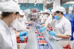 Product packaging line at the Vietnam Meat Industries Joint Stock Company (Vissan). (Photo: VNA)