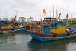 Fishing vessels that do not meet requirements are arranged to anchor in designated areas. (Photo: VNA)