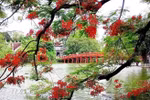A corner of Hoan Kiem Lake, Hanoi. (Photo: VNA)