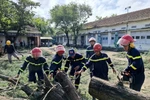 Fallen tree at Nguyen Hong Son Secondary School, Xuan Dai ward, Dak Lak province removed. (Photo: VNA)