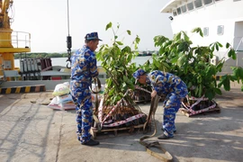 Saplings and supplies loaded onto Ship 638 for “Greening Truong Sa” programme (Photo: VNA) 