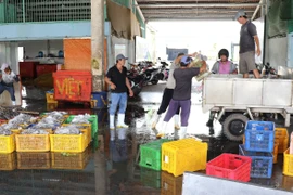 During the fishing season, the Vam Lang fishing port in Dong Thap province provides employment for a large number of local workers. (Photo: VNA)