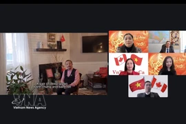 Online event promotes Vietnamese products in Canada (Photo: VNA)