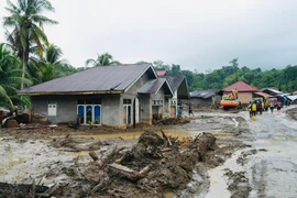 Indonesia investigates corporate role in floods and landslides (Photo: VNA)
