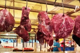 Indonesia’s meat industry faces widespread job loss risks (Photo:en.infosawit.com)