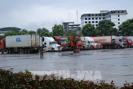 Lao Cai cross-border trade nears 1 billion USD (Photo:VNA)
