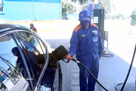 Petrolimex Hung Yen staff serves a customer at an E10 RON95-V biofuel pump, newly put into operation to completely replace mineral gasoline. (Photo: VNA)