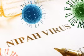 Vietnam steps up Nipah virus prevention at border gates (Photo: suckhoedoisong.vn)
