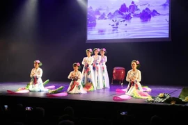 Vietnamese artists at the festival (Photo: VNA)