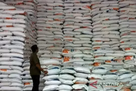 Indonesia's government rice reserves at the Perum Bulog warehouse, Aceh Regional Office, Siron Village, Aceh Besar district, Aceh (Photo: ANTARA) 