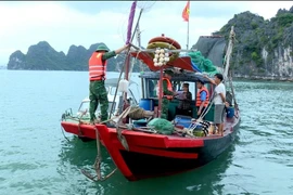 Officers of the Hon Gai port border gate guard station coordinate inspections and handle vessels engaged in illegal fishing activities in Ha Long Bay. (Photo: Quang Ninh Newspaper) 