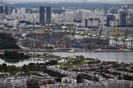 Information sharing and communication and transparency will be a key focus of Singapore's new task force. (Photo: straitstimes.com 