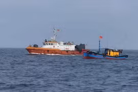 Quang Tri ensures full compliance in fight against IUU fishing (Photo: VNA)