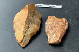 Radioactive tracing of small tools at a site in South Sulawesi, Indonesia, dates back up to 1.48 million years ago. (Photo: REUTERS) 