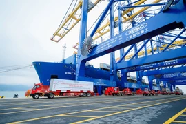 Handling export cargo at Lach Huyen Port, Hai Phong city. (Photo: hanoimoi.vn) 