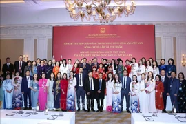 Party chief To Lam meets the Vietnamese community in UK (Photo: VNA)