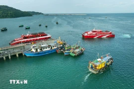Quang Ninh has reaffirmed its commitment to resolute action against IUU fishing, contributing to Vietnam’s national goal of having the EC's “yellow card” warning removed. (Photo: VNA)