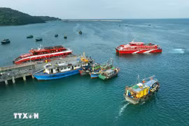 Quang Ninh has reaffirmed its commitment to resolute action against IUU fishing, contributing to Vietnam’s national goal of having the EC's “yellow card” warning removed. (Photo: VNA)