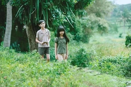 The screening of the acclaimed film "Yellow Flowers on the Green Grass" brought viewers to the poetic Vietnamese countryside of the 1980s. (Photo: VNA)