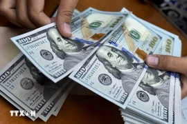 Illustrative Image (Photo: VNA)