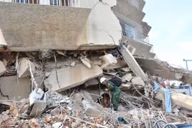 Rescuers search for survivors trapped beneath the rubble. (Photo published by VNA) 
