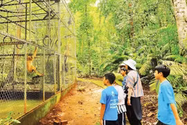 Young volunteers help care for rescued wildlife at Bu Gia Map National Park. (Photo: Nhan Dan)