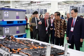 Former Indonesian President Joko Widodo, second from right, with Hyundai Motor Group Chairman Chung Eui-sun in Indonesia on June 3, 2024 (Photo: koreajoongangdaily.joins.com) 