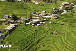 Total funding to be mobilised for the programme implementation in the 2026–2030 period is estimated at about 1.044 quadrillion VND. (Photo: VNA)