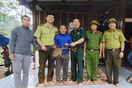 Endangered pig-tailed macaque handed over to authorities in Quang Tri (Photo: VNA)