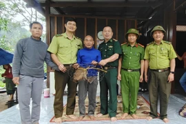 Endangered pig-tailed macaque handed over to authorities in Quang Tri (Photo: VNA)