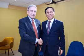 Deputy Prime Minister and Minister of Foreign Affairs Bui Thanh Son (R) and New Zealand’s Foreign Minister Winston Peters (Photo: VGP)