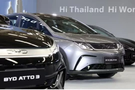 Chinese brands dominate Thailand's EV segment, with a combined share of over 70% of sales. (Photo: asia.nikkei.com)