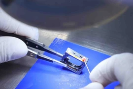 With many advantages, Vietnam has opportunities to integrate more deeply into the global technology value chain. (Photo: VNA) 