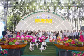 HCM City fosters global ties through culture and the arts (Photo: VNA)