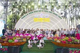 HCM City fosters global ties through culture and the arts (Photo: VNA)