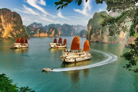 Vietnam saw a 22% rise in tourist numbers last year – and is showing no signs of wanting the growth to slow (Photo: telegraph.co.uk) 