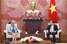 Vietnamese NA Chairman Tran Thanh Man receives new Australian Ambassador Gillian Bird (Photo: VNA)
