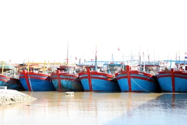 Ninh Binh steps up IUU fishing control, targets unregistered vessels. (Photo: VNA)