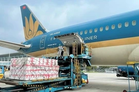 A worker uploads cargo on an aircraft of Vietnam Airlines. (Photo VNA) 
