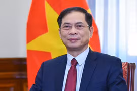 Deputy PM and Minister of Foreign Affairs Bui Thanh Son. (Photo: VNA)